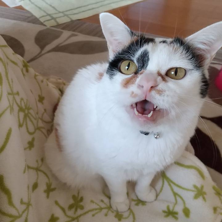 1d678230 9890 431b 9231 54d36e0f74c7 1606696789715