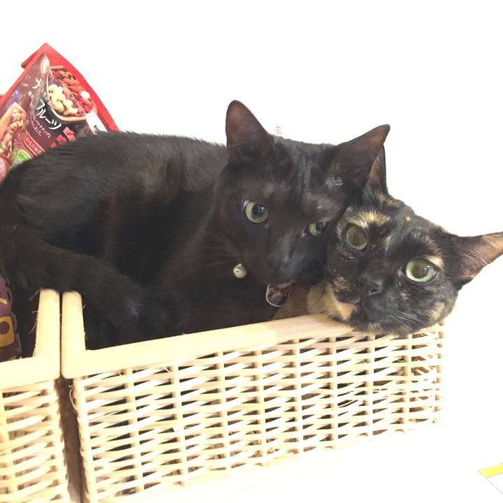 1d67afe7 8396 4fc3 bb4f c889a1a46a53 1527975802876