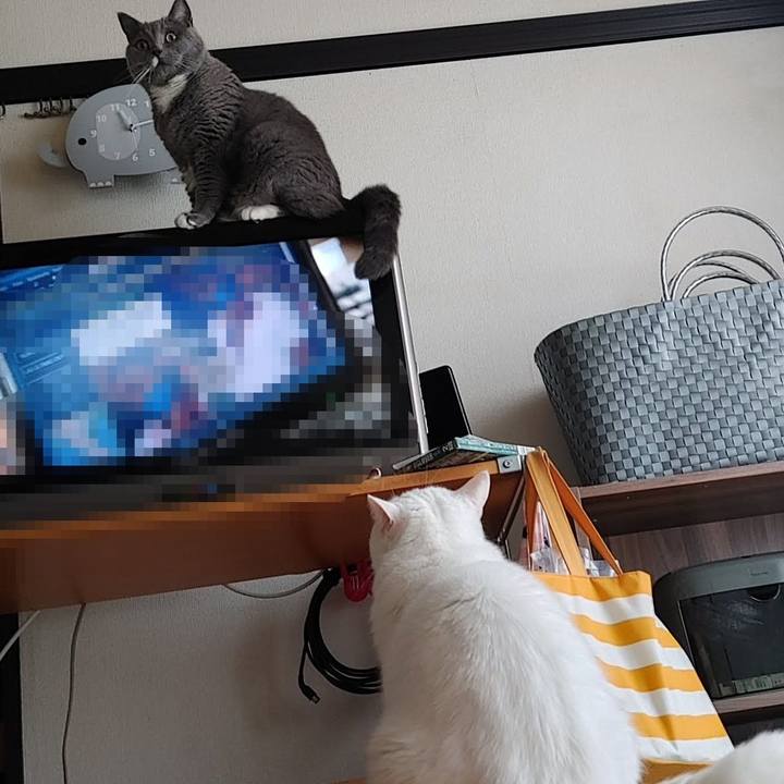 1d68169d 0a32 4554 8b6f 5d8483f27ae4 1628994347679