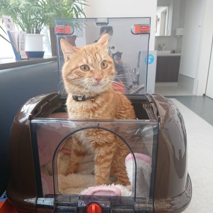 1d68a576 c05a 40cc 8cb6 14c60e484410 1654478703256