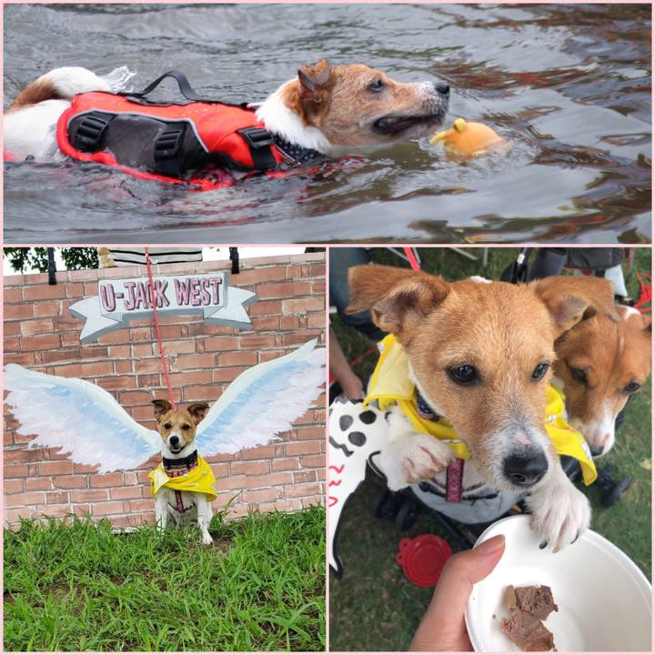 1d68e481 90e2 4a5d 8e6e 7a4d8caec722 1567398357493