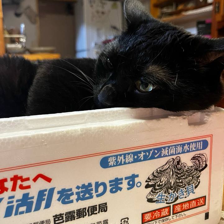 1d68f89c 8138 4fc2 b113 22d7943d6866 1724419291994