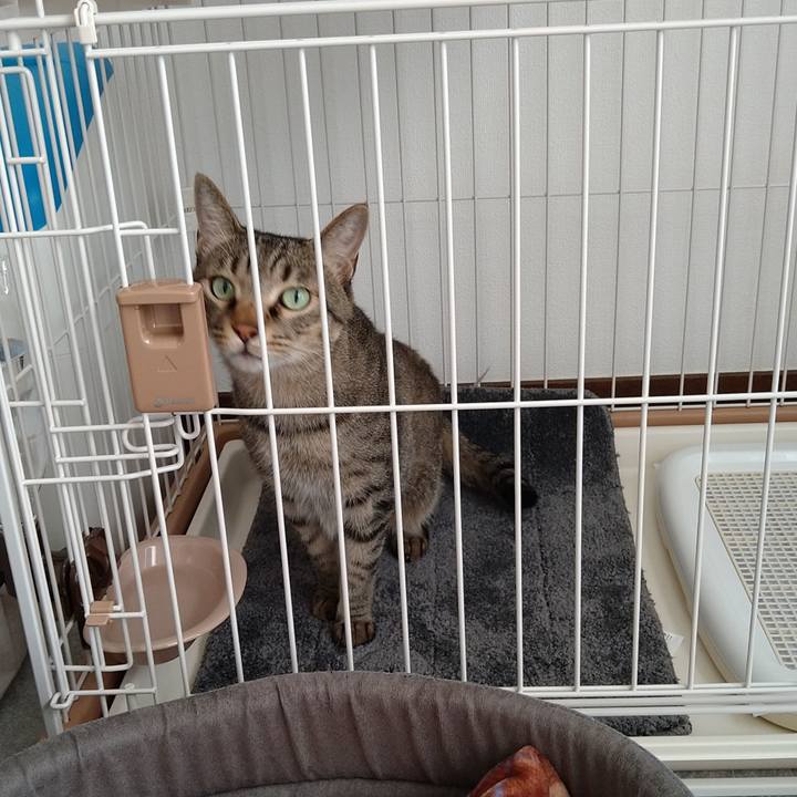 1d690030 f248 45e9 ba18 6d6af1fa773c 1666508476385