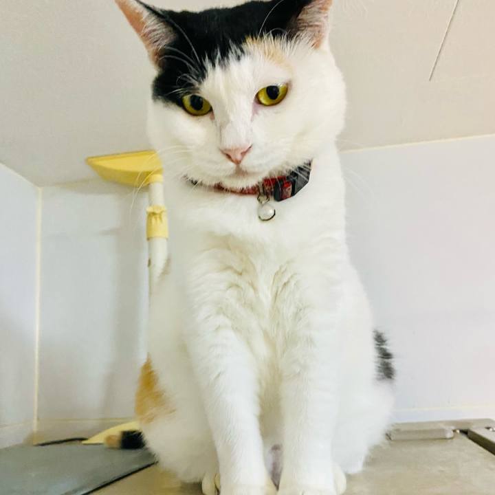 1d690726 d1be 488b bee4 402ee97f171b 1690755546549