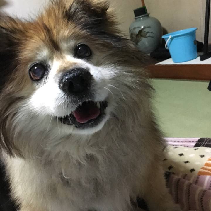 1d6925ca 91ef 4980 ad63 7df788f16188 1554880711180