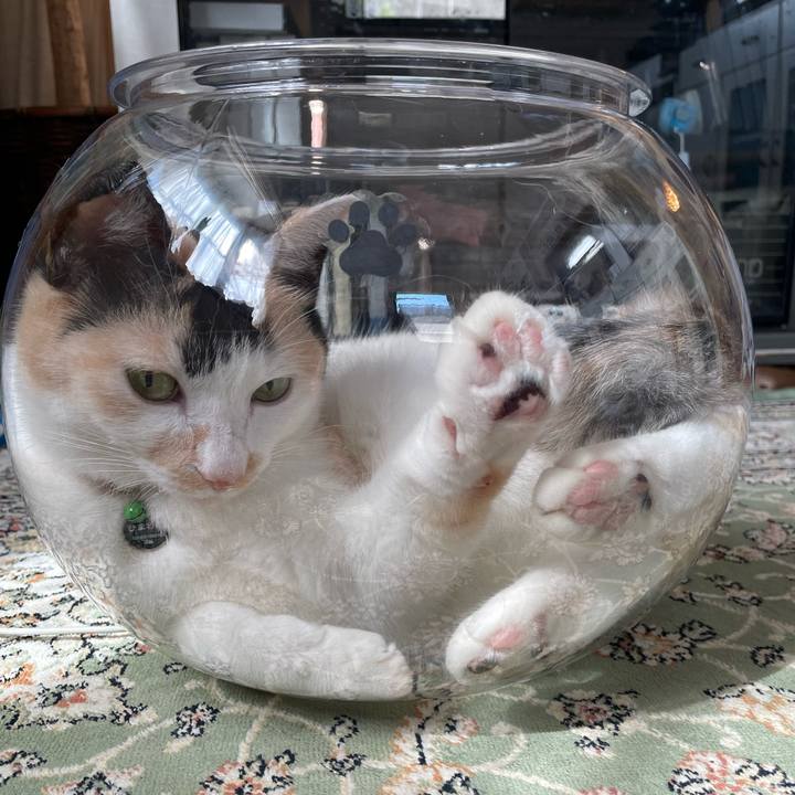 1d697252 2021 4cde 864a 6f38651376e5 1721691062508