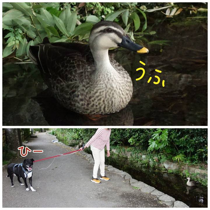 1d69788e e341 40f5 a846 d1f807f87f42 1715475577869