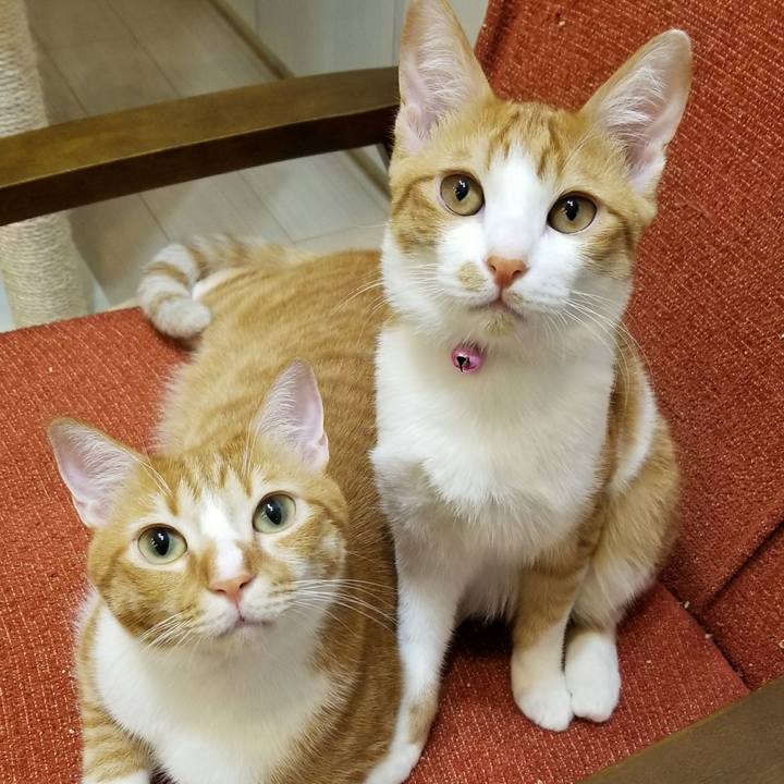 1d69cf1a 8ff7 42bc 9f85 c0f62f7710bb 1512403239364