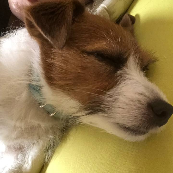 1d69ee33 d0d2 4dd9 82fa cc419d1dc23b 1558877058791