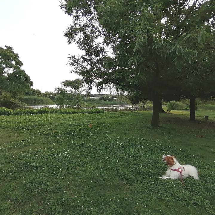 1d6a3154 4a9f 480e 924b 136e8c3c039c 1593603909995