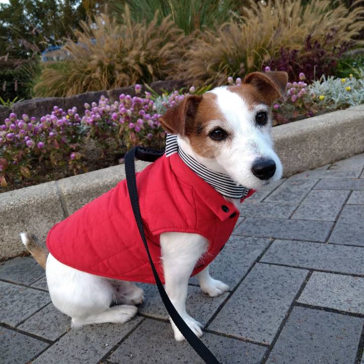 1d6a8e6e 55d8 4db7 924b 16709def3770 1764767119510