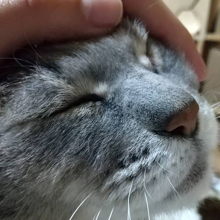 1d6a9a6b a3df 4823 b3b6 a93200192f65 1610742215053