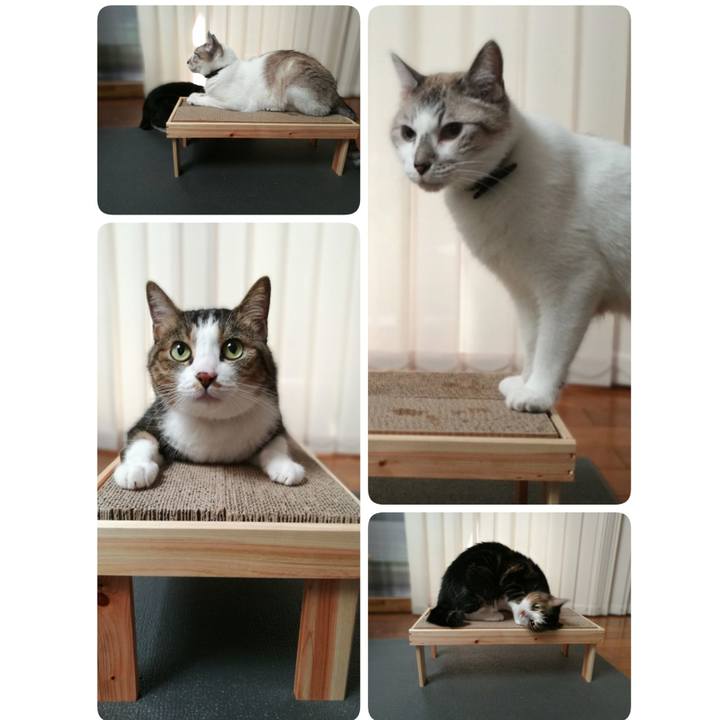 1d6a9e56 677a 4f28 8670 ece8eca9390b 1535256314086