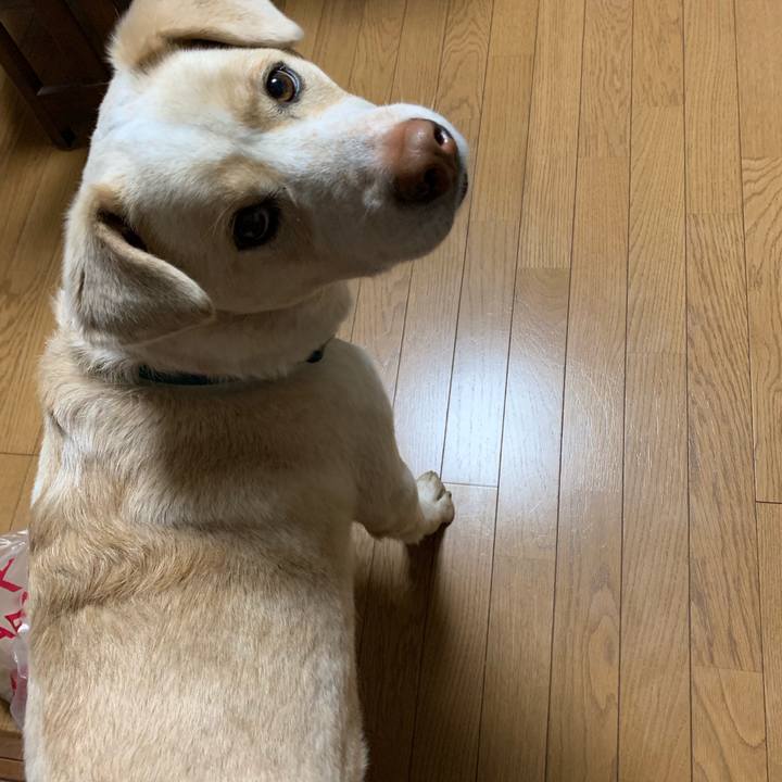 1d6ae3ec 1582 4d9c a168 82a980c7f7a2 1555588567428