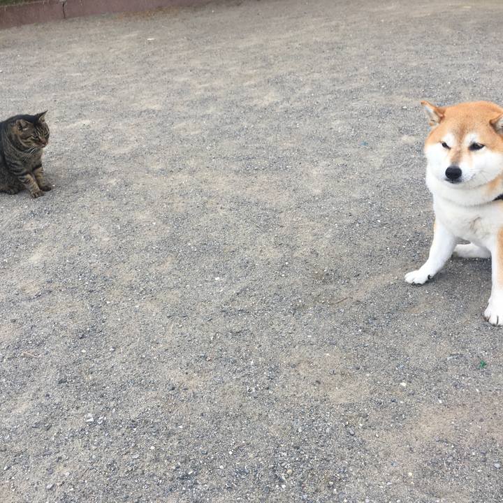 1d6b0b77 9e23 42b7 b717 da4555332500 1613308266258