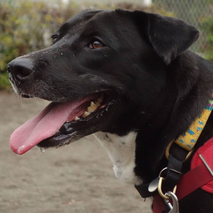 1d6b816d 0fc2 4a69 8a11 716cdb2ebaac 1599004048509