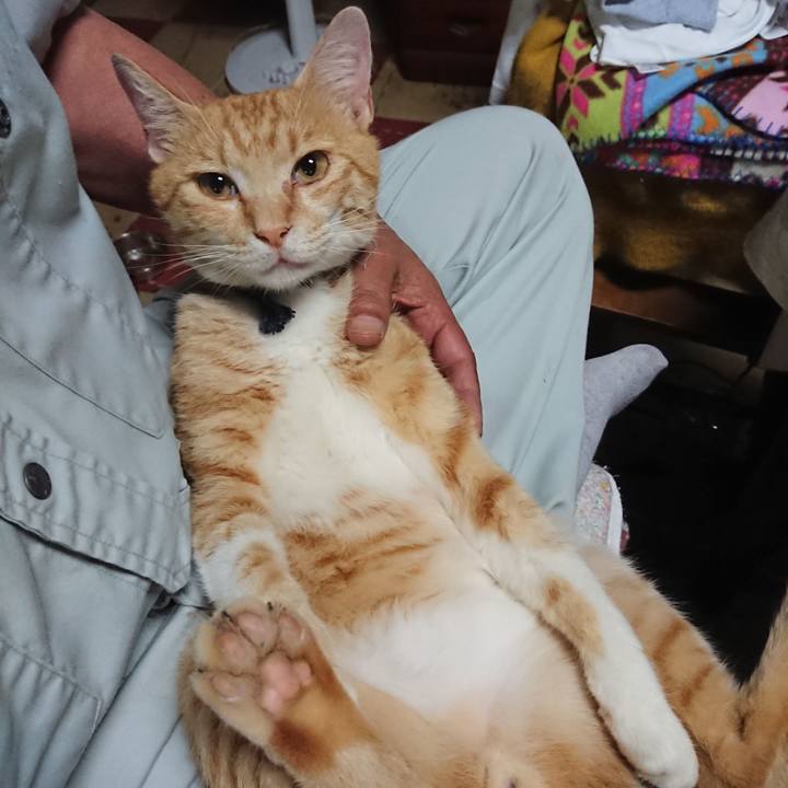 1d6ba793 dd05 4d07 9464 49d7f4099ecc 1562204148425