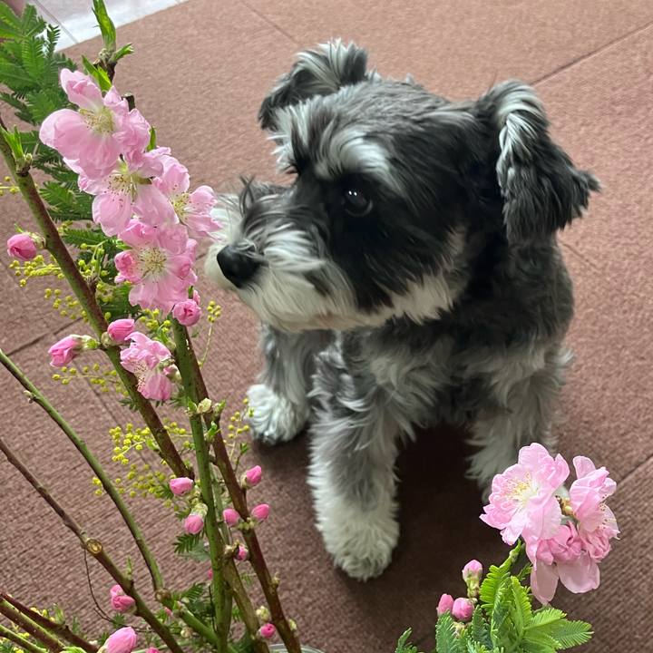 1d6bb2f1 35e3 4b97 956e 23dba75932cd 1740700164866