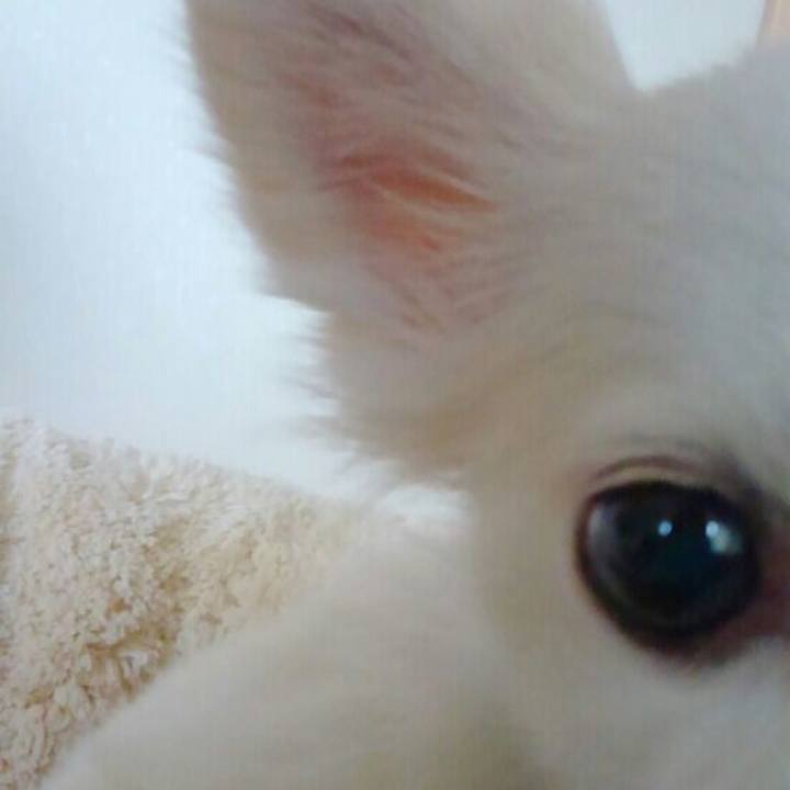 1d6bbc27 cf80 46b8 93d1 93cc8f984884 1559397057190