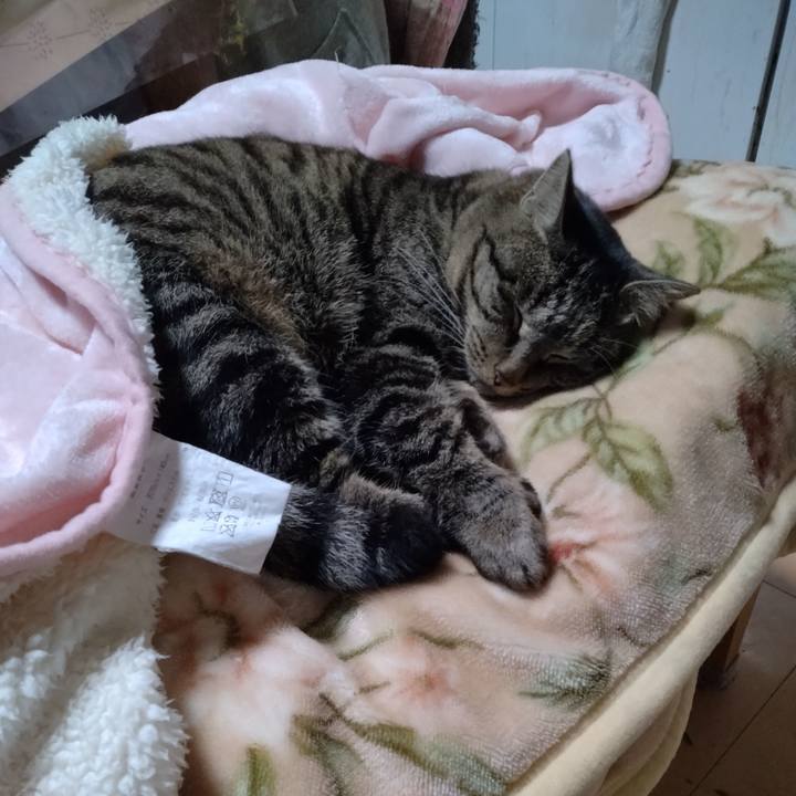 1d6bc780 62dd 497f 96f7 957f53efaa63 1674391583453