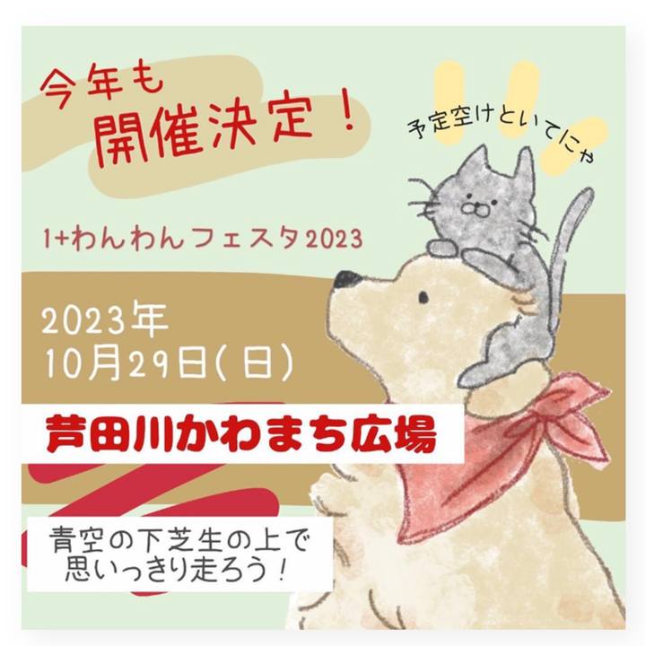 1d6bc8a4 e10d 410d 83a5 2e0ba06a6296 1697891070141
