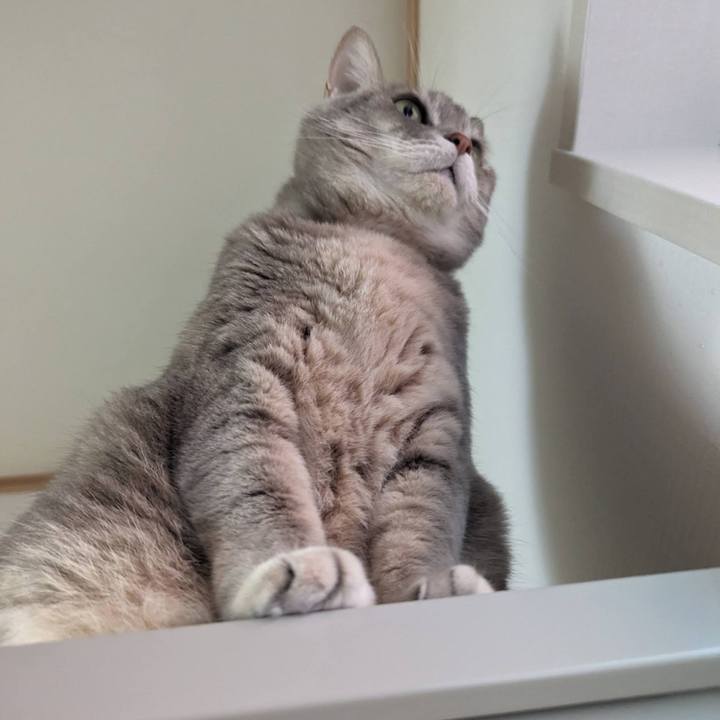 1d6bdc97 64e0 4449 b677 eb6583d29fc3 1703569451215