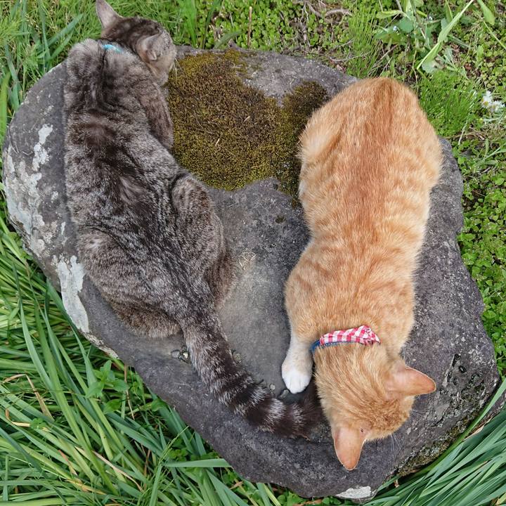 1d6be5ac ad08 4c75 bc85 d6a271dc2842 1559461763984