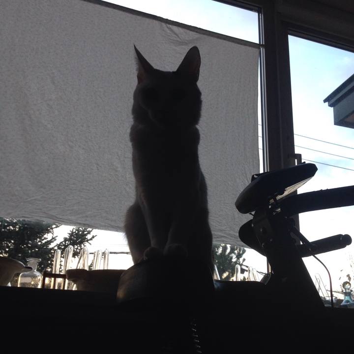 1d6be795 77d1 4804 abbc 33a9e55605f5 1510178132143