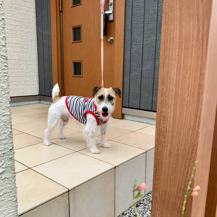 1d6bf853 3d39 4f45 9a99 d482357728d8 1625573469347