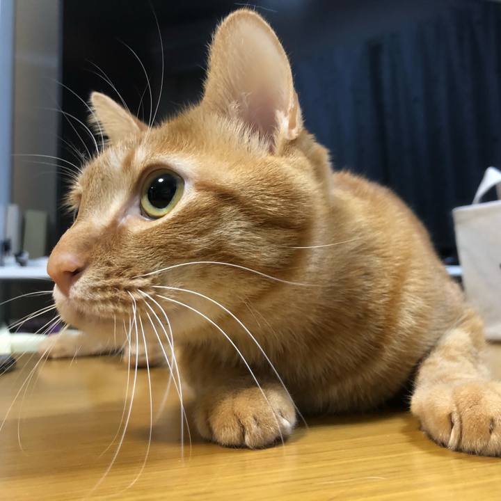 1d6bf908 02e7 468f 9ef0 8880fa45a4ea 1614656545553