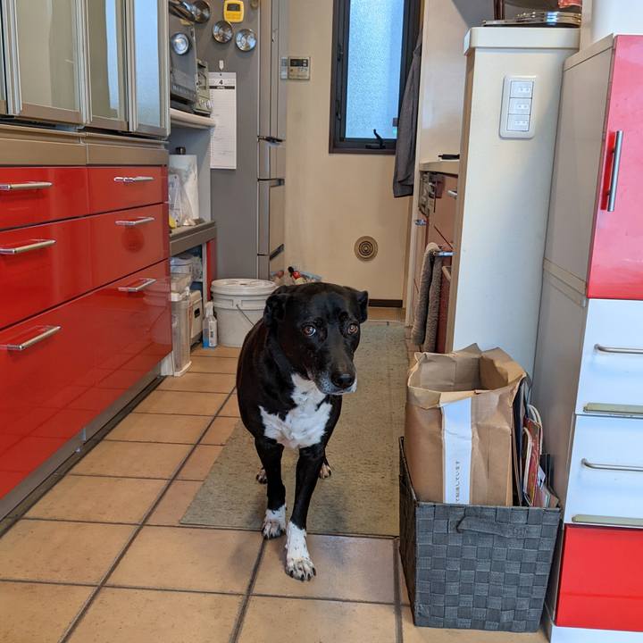 1d6c0064 c432 41bf 816a 4436c6f087ec 1681604722801