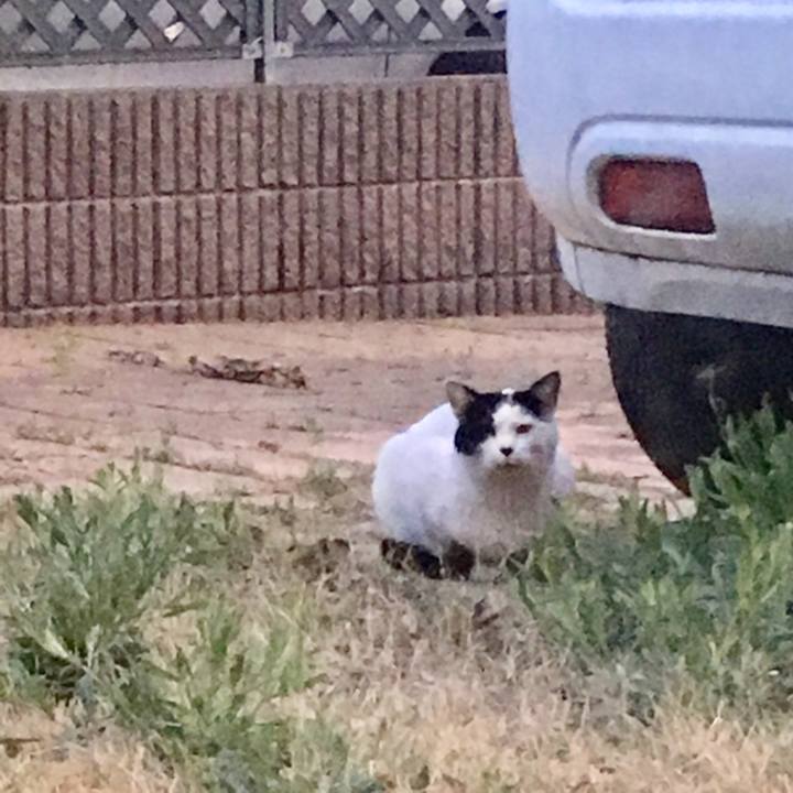 1d6c0ac3 1c2d 4179 bfc9 b1f7c920f7e3 1524052425503