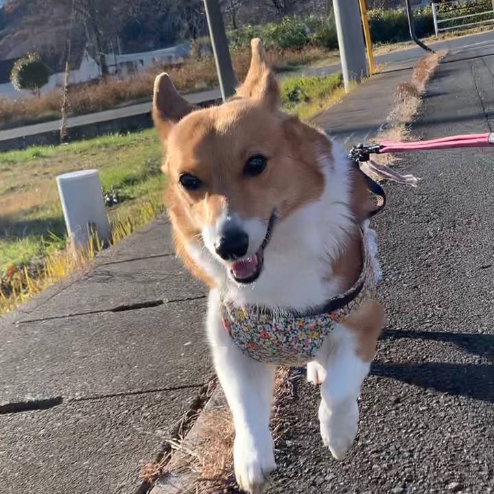 1d6c0c5b aa38 4e36 a449 4f7a6a7541c9 1671865232788