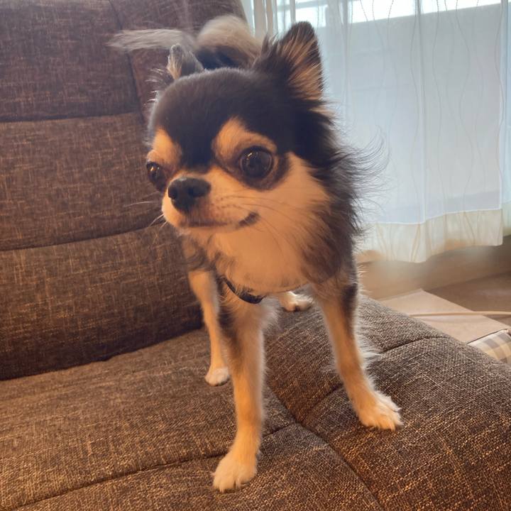 1d6c3f58 b7ab 429a aa44 34a841fdd728 1717862436032