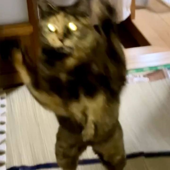 1d6c59ec 7013 4e83 a282 0081381526eb 1738525498276