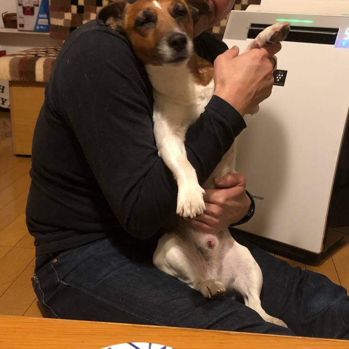 1d6c5cb7 48da 4045 8efb 7209e02f8aa1 1546041218954