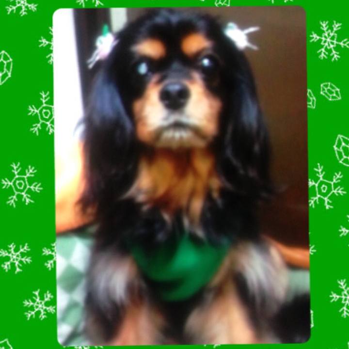 1d6c9048 27cd 4584 a722 52bfb4f4b708 1517465080854