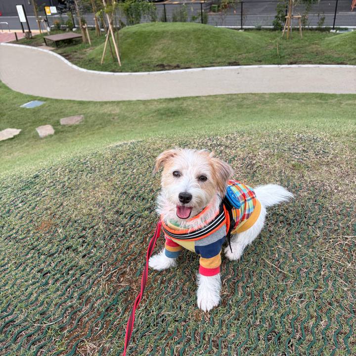 1d6cce8a adac 4388 a3ea 1f6f79085c7d 1759013335447