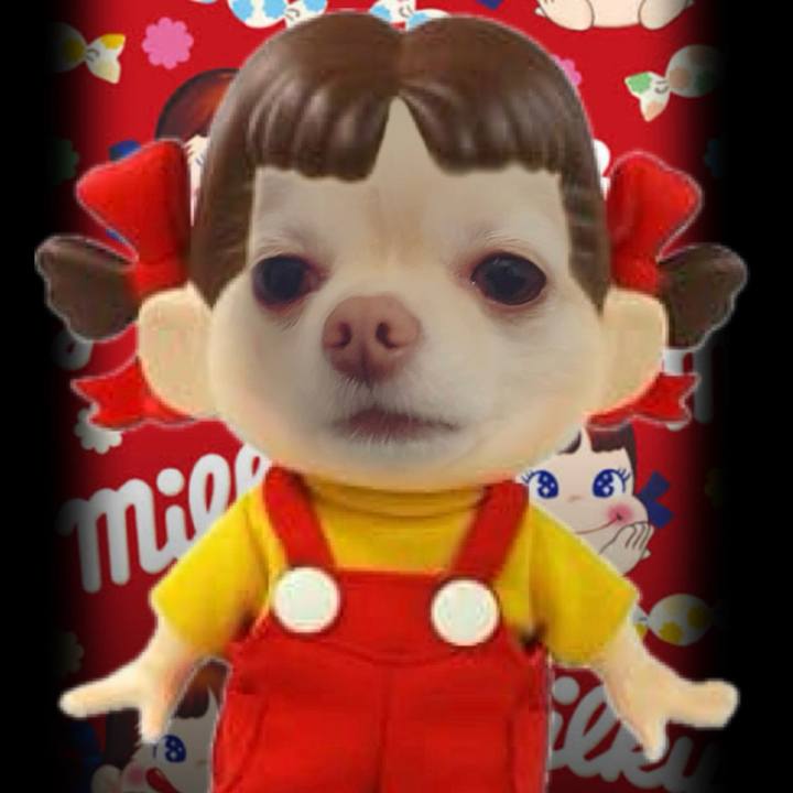 1d6cd14b 7d44 422f 8260 e1c3a3f2ee90 1709108698566