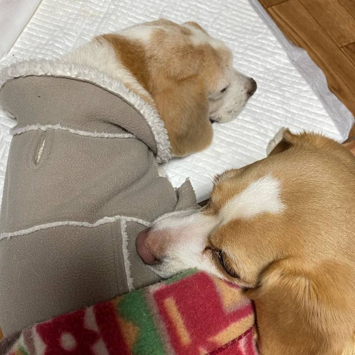 1d6cf71c 9ab2 4233 9ca2 c37d29a89939 1646525331640