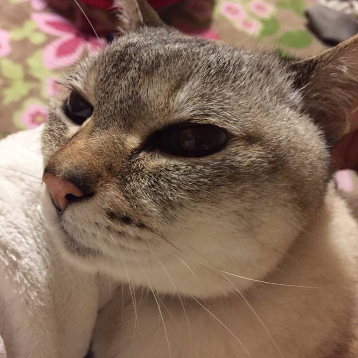 1d6d09e2 fcc7 4baf 9d01 d4a128a7f9e0 1521456334714