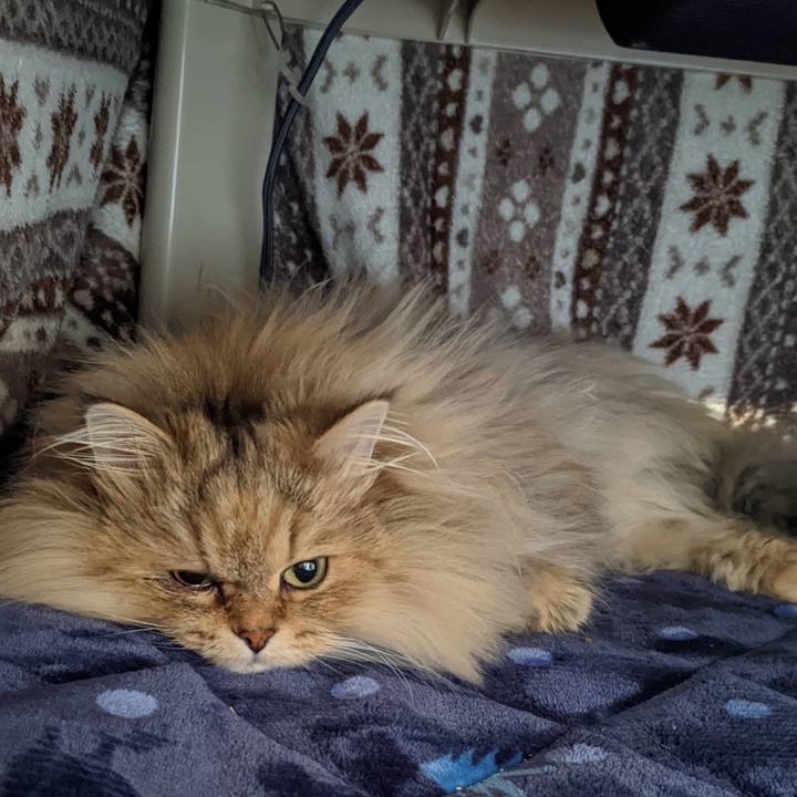 1d6d5223 e27e 42f1 bf6c 9483f18b2c50 1642034395113