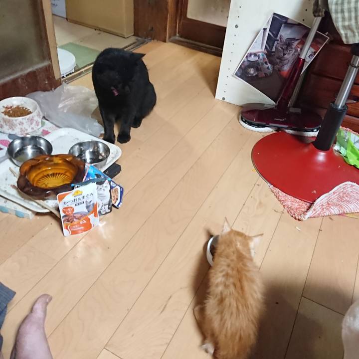 1d6d5d5b 20b3 4a2d b77e 6d4449fb7b28 1628507996240