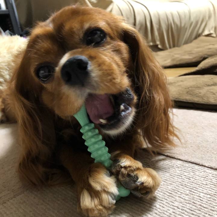 1d6d71bf ce18 4525 a9c2 10d665b724cf 1633961774264