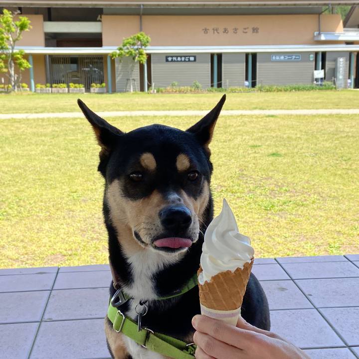 1d6d7e9e 5496 4c26 a2d1 caec71127638 1620135938214