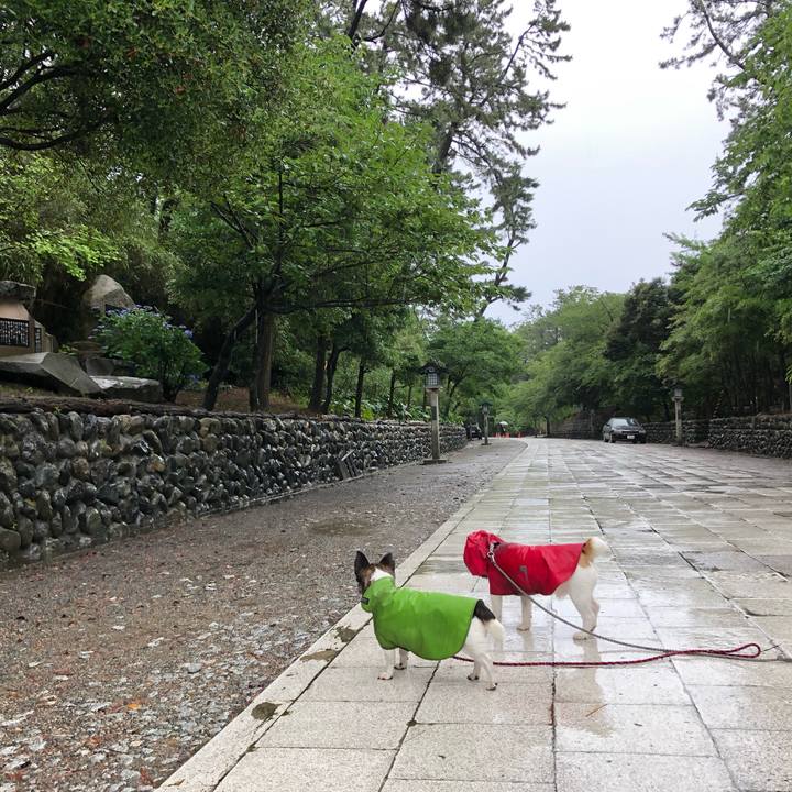 1d6d9022 40ac 4bc3 89c6 b928da596e8a 1561852649041