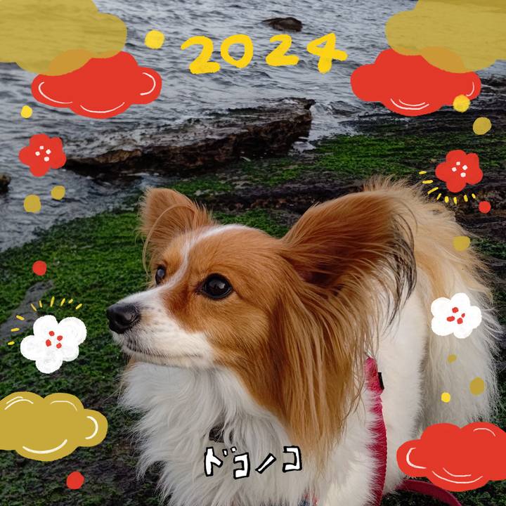 1d6d9181 8e76 490b 9b10 bbf023f00af0 1704295814836