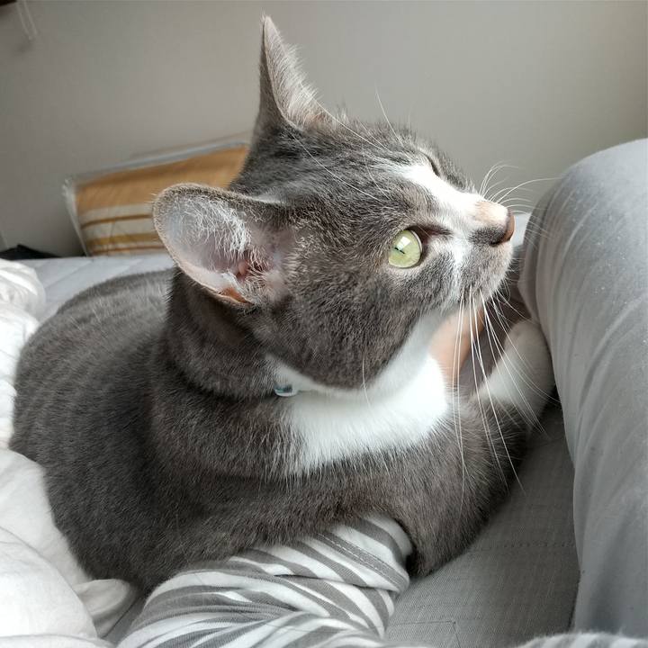 1d6d9dbe cbd3 486e 86a1 6e1d52663c21 1628985431743