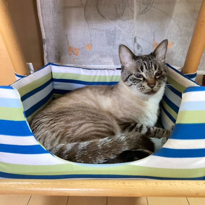 1d6dd7bf eb38 4be7 9605 5315599d8dda 1756894378306