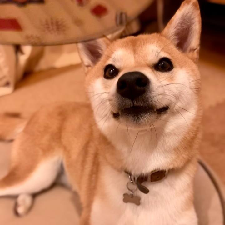 1d6de989 9630 4212 89a0 fef75ba19865 1656455136956